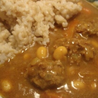 写真に魅せられました～（*^_^*）
団子もカレーも自家製ですが、、、カレーに大豆がベストマッチ☆
美味しいですね、ごち様<(_ _)>